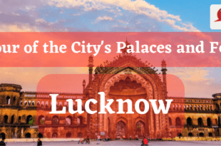 Lucknow A Tour of the City's Palaces and Forts_Pic Credit Google