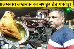 Aloo Bread Pakora-27 Years of Flavoring Lucknows Food Scene