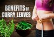 How To Lose Weight Fast Naturally And Permanently-Curry leaves help in weight loss just consume them like this_Pic Credit Google