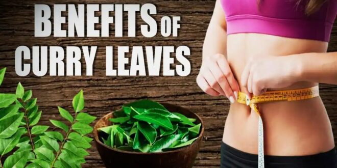 How To Lose Weight Fast Naturally And Permanently-Curry leaves help in weight loss just consume them like this_Pic Credit Google